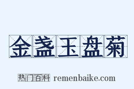 金盏玉盘菊是什么意思的图片